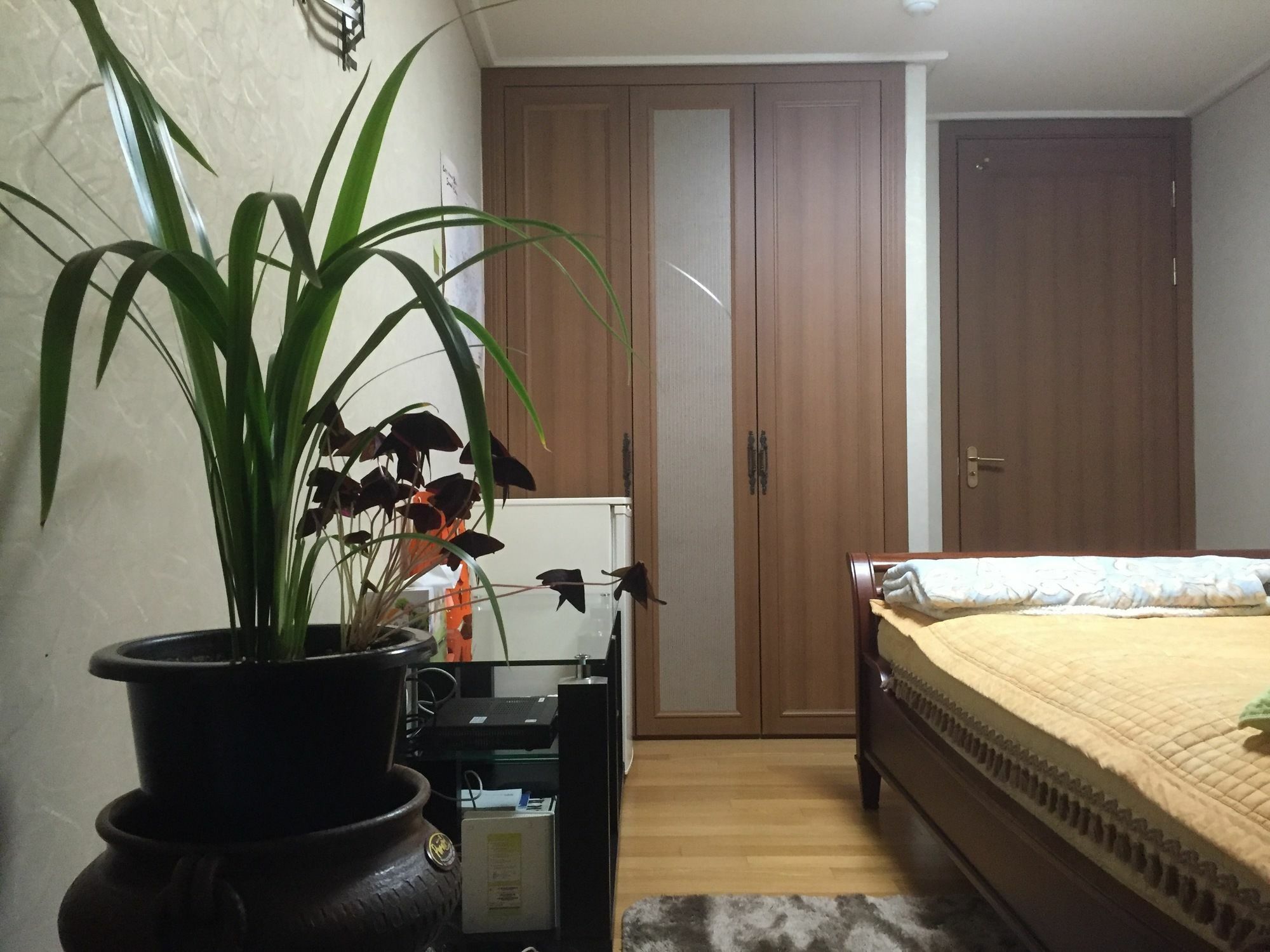 Janganhills Homestay Сеул Екстериор снимка